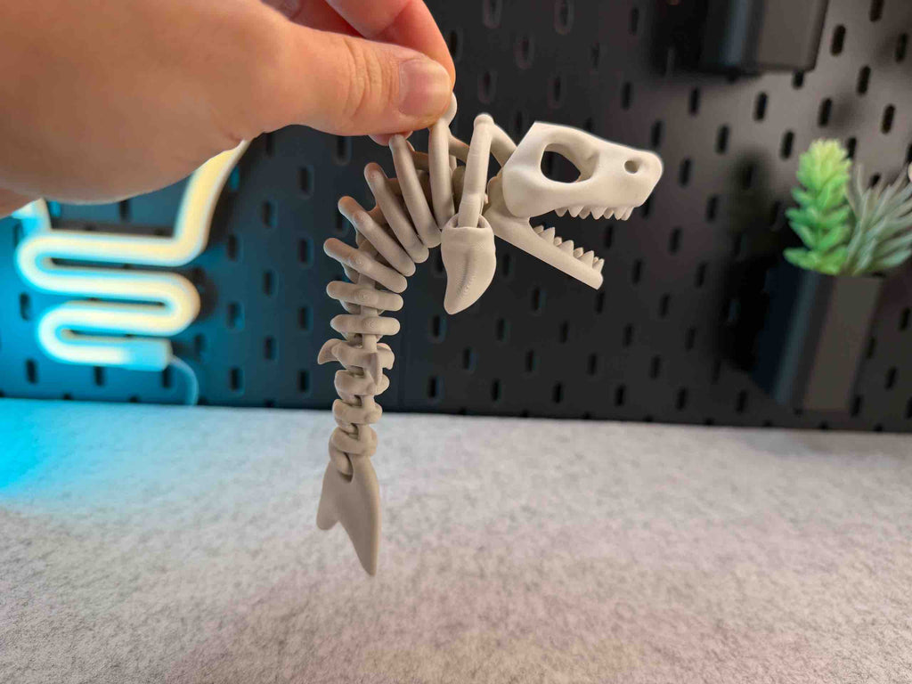 White skeleton shark articulated