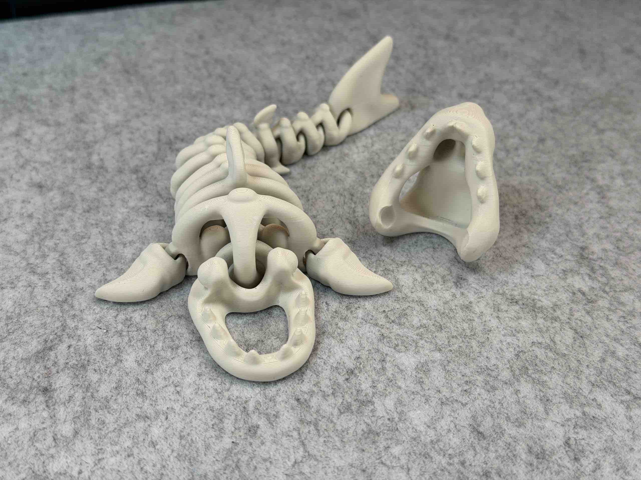 White skeleton shark articulated