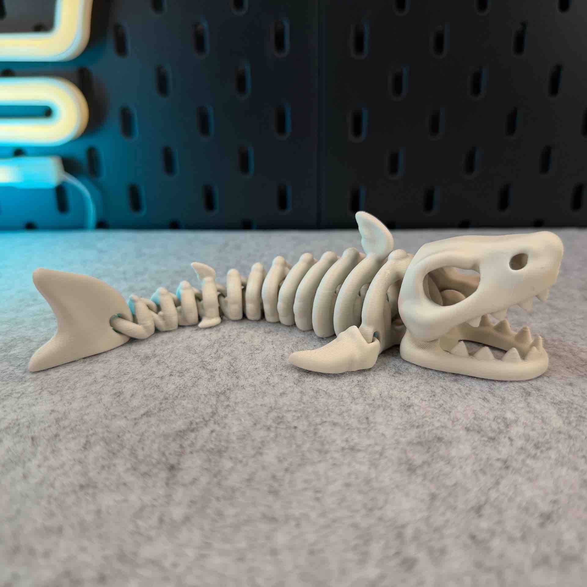 White skeleton shark articulated